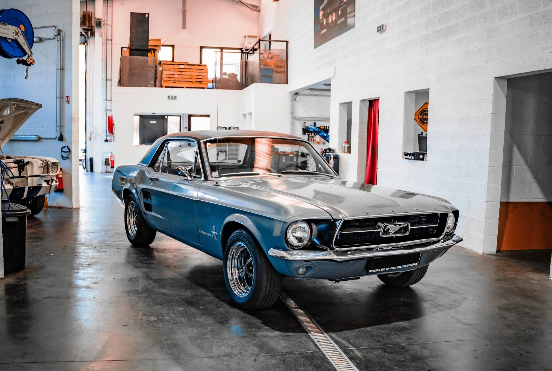 La photo du mois Mustang Passion France